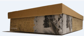 ECO FISH BOX 10 KG MANUELL U/PRINT