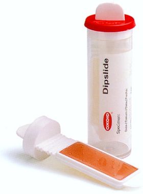 DIPSLIDE PCA/MALT EXTRAKT PK10